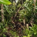 nusalavu_v_0705_0055.jpg